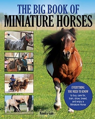 The Big Book of Miniature Horses