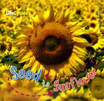 Lifecycles: Seed to Sunflower