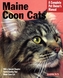 Maine Coon Cats