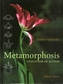 Metamorphosis