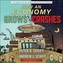How an Economy Grows and Why It Crashes