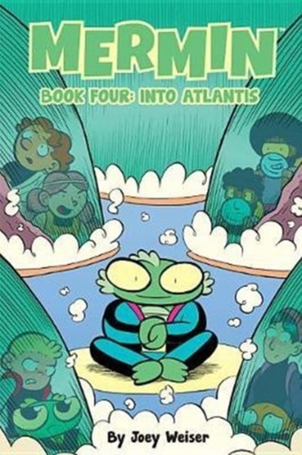 Mermin Book Four