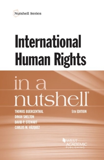 International Human Rights in a Nutshell