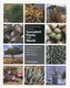 Timber Press Guide to Succulent Plants of the World