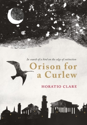 Orison for a Curlew