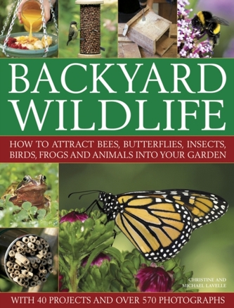 Backyard Wildlife