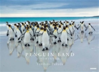 Penguin Land