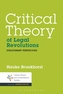 Critical Theory of Legal Revolutions