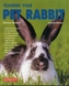 Training Your Pet Rabbit
