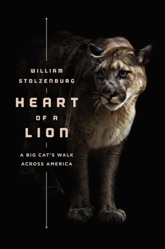Heart of a Lion