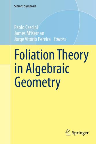 Foliation Theory in Algebraic Geometry