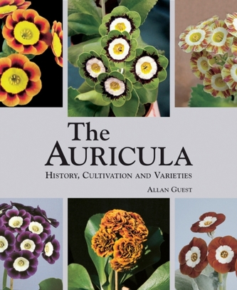 The Auricula History, Cultivation and Varieties