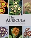 The Auricula History, Cultivation and Varieties