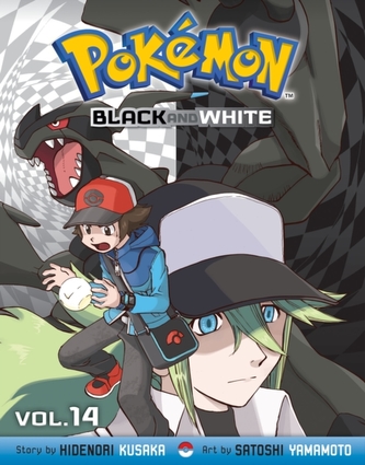 Pokemon Black and White, Vol. 8