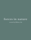 Forces in Nature