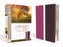 Amplified Holy Bible, Large Print, Leathersoft, Pink/Purple