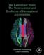 The Lateralized Brain
