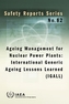 Ageing management for nuclear power plants