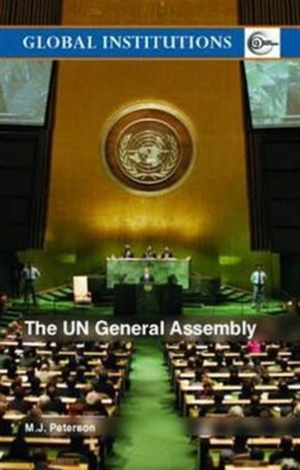 The UN General Assembly