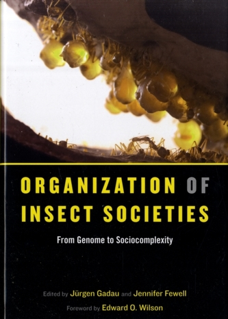 Organization of Insect Societies