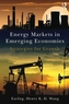Energy Markets in Emerging Economies