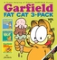 Garfield Fat Cat 3-Pack #7