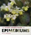 The Plant Lovers Guide to Epimediums