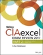 Wiley CIAexcel Exam Review 2017, Part 2