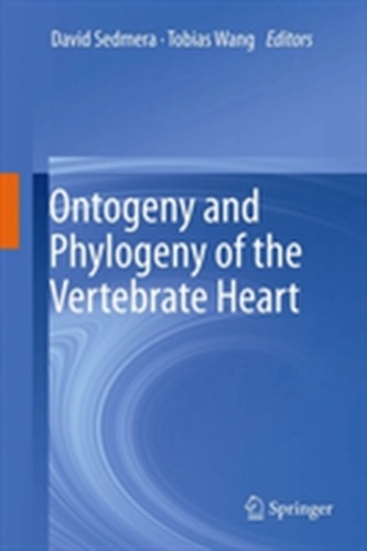 Ontogeny and Phylogeny of the Vertebrate Heart