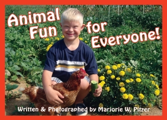 Animal Fun for Everyone!
