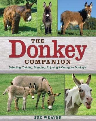 Donkey Companion, the