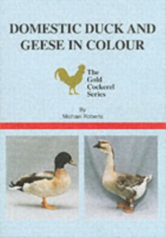 Domestic Duck and Geese in Colour