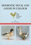 Domestic Duck and Geese in Colour
