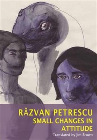 Small Changes in Attitude