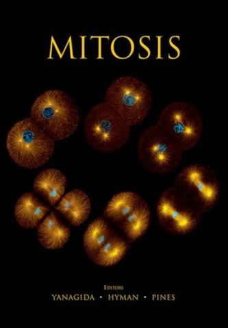 Mitosis