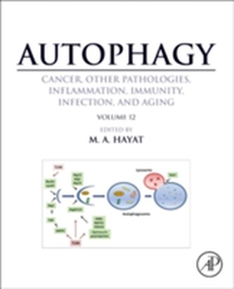 Autophagy: Cancer, Other Pathologies, Inflammation, Immunity, Infection, and Aging