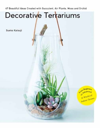 Decorative Terrariums
