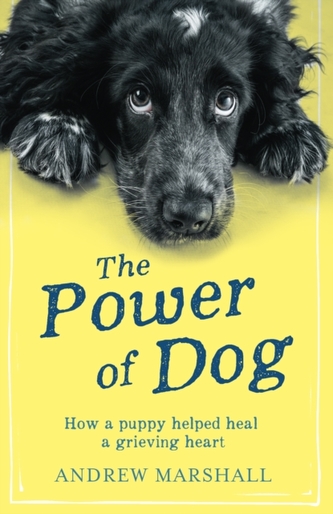 The The Power of Dog