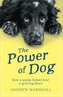 The The Power of Dog