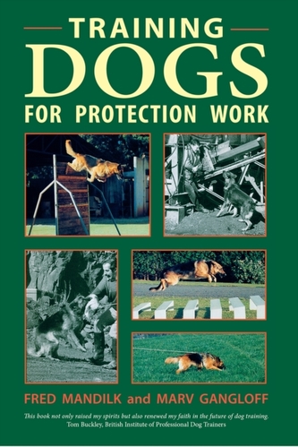 Training Dogs for Protection Work