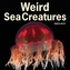 Weird Sea Creatures