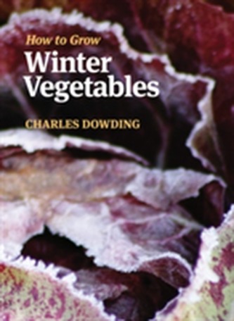 How to Grow Winter Vegetables