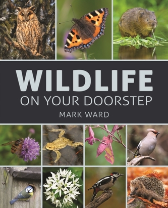 Wildlife on Your Doorstep