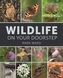 Wildlife on Your Doorstep