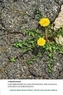 Contributions to Law, Philosophy and Ecology