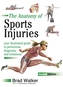 Sports Injuries