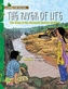 The Caring for Nature