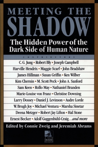 Meeting the Shadow