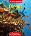 All About Australia: Oceans