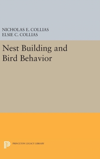 Nest Building and Bird Behavior